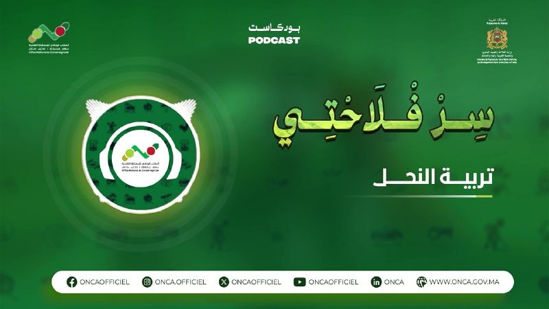 ملف:Thumbnail youtube aYOZr0oua6o.jpg