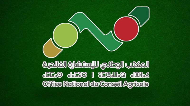 ملف:Thumbnail youtube 1kTMerQPMhI.jpg