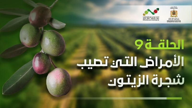 ملف:Thumbnail youtube FyAXgE0OEAI.jpg