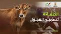 تصغير للنسخة بتاريخ ١١:٠٢، ٢٨ يناير ٢٠٢٦