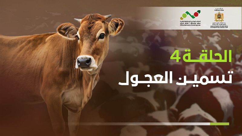 ملف:Thumbnail youtube p5BpDHHxqcc.jpg