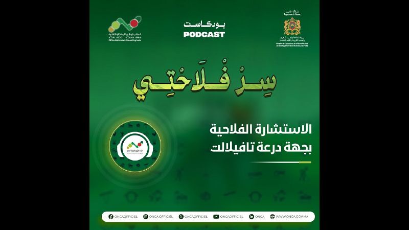 ملف:Thumbnail youtube 5JGgETaikL0.jpg