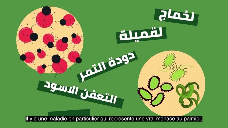 ملف:Thumbnail youtube -nvCokgDSIs.jpg