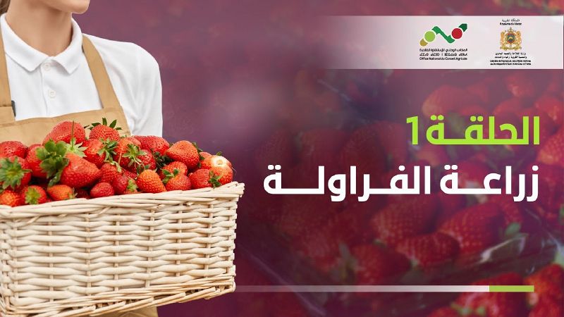 ملف:Thumbnail youtube dEL4Ip-OVus.jpg