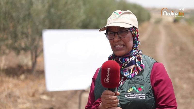 ملف:Thumbnail youtube cCmjmdj x2U.jpg