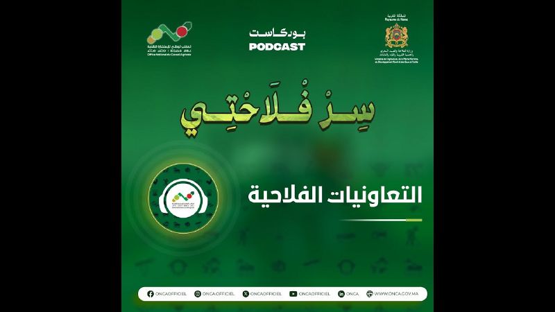 ملف:Thumbnail youtube DWWtuY Jowo.jpg