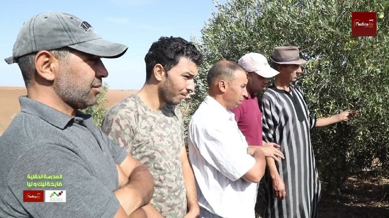 ملف:Thumbnail youtube sqfYM9CUfaI.jpg