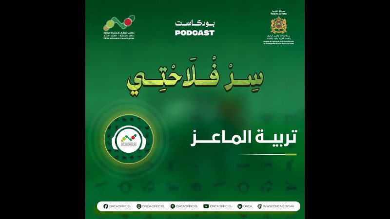 ملف:Thumbnail youtube 42Mt-VO 8G8.jpg